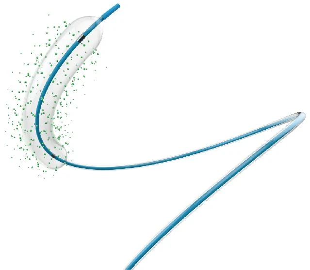 paclitaxel drug balloon catheter