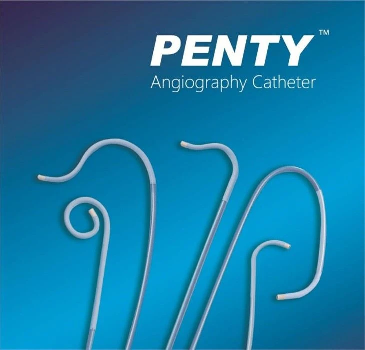 Endovascular Diagnostic Catheter