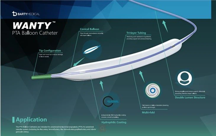 Japan ESRD PTA Balloon